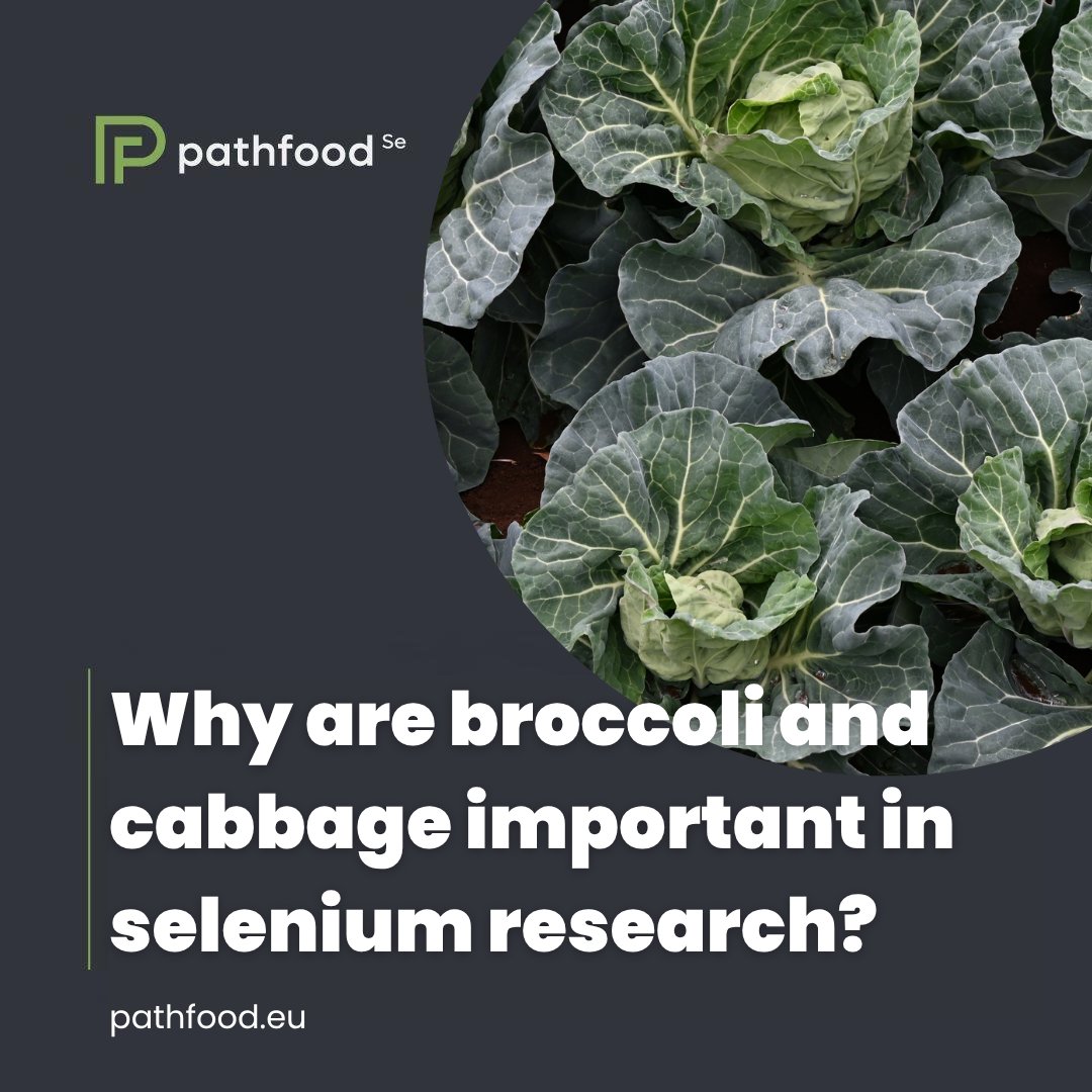 PATHFOOD tweet media