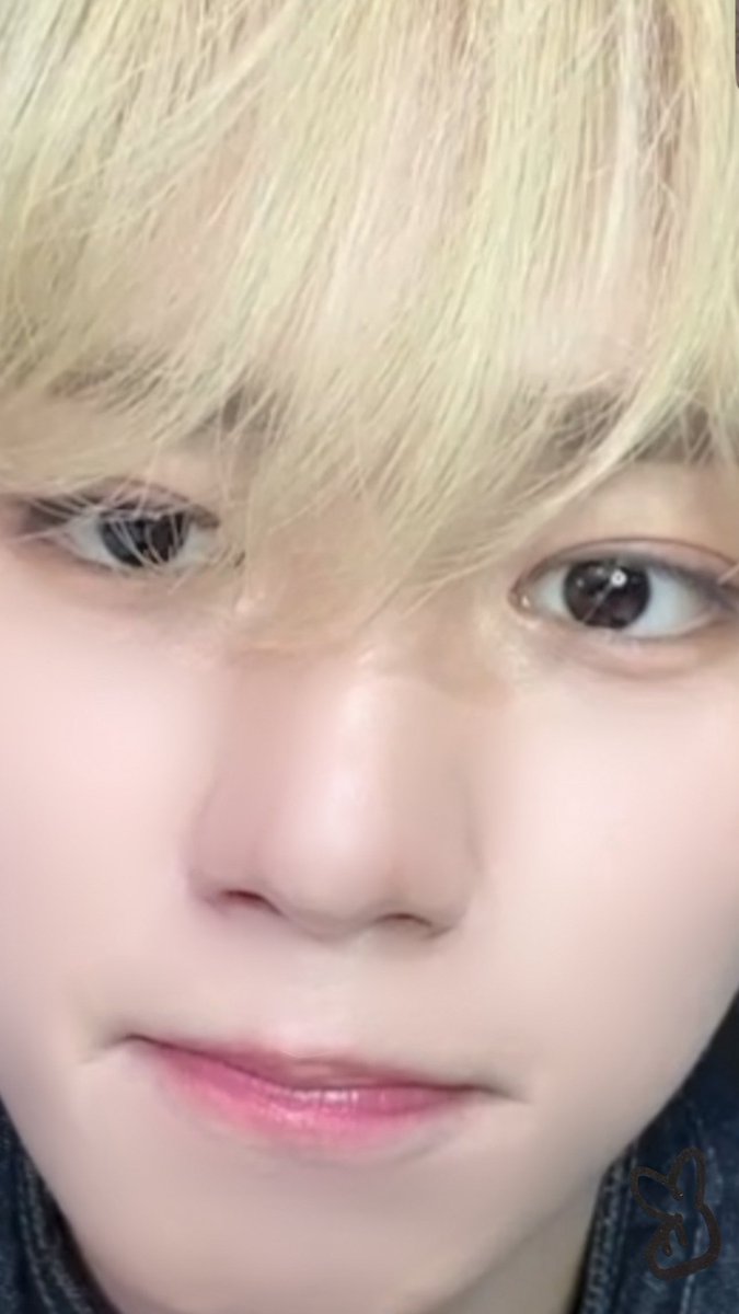 GreyClover🍀 tweet media