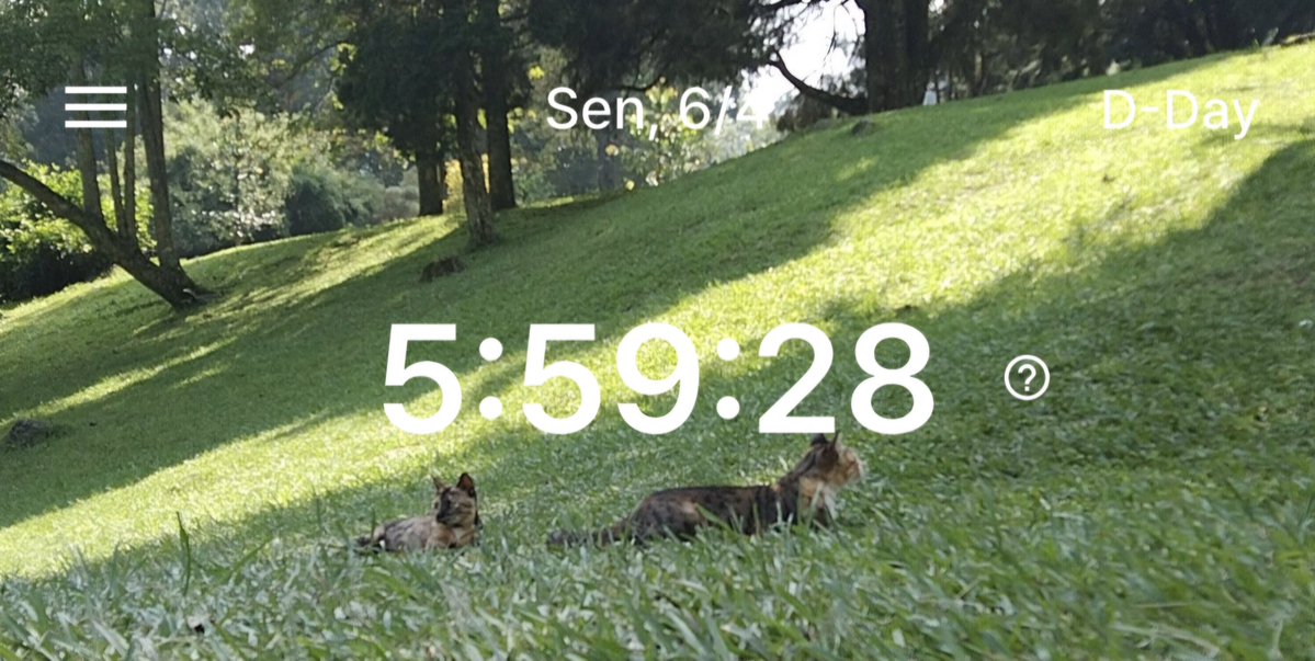 liy²7 akun lg sakit tweet media