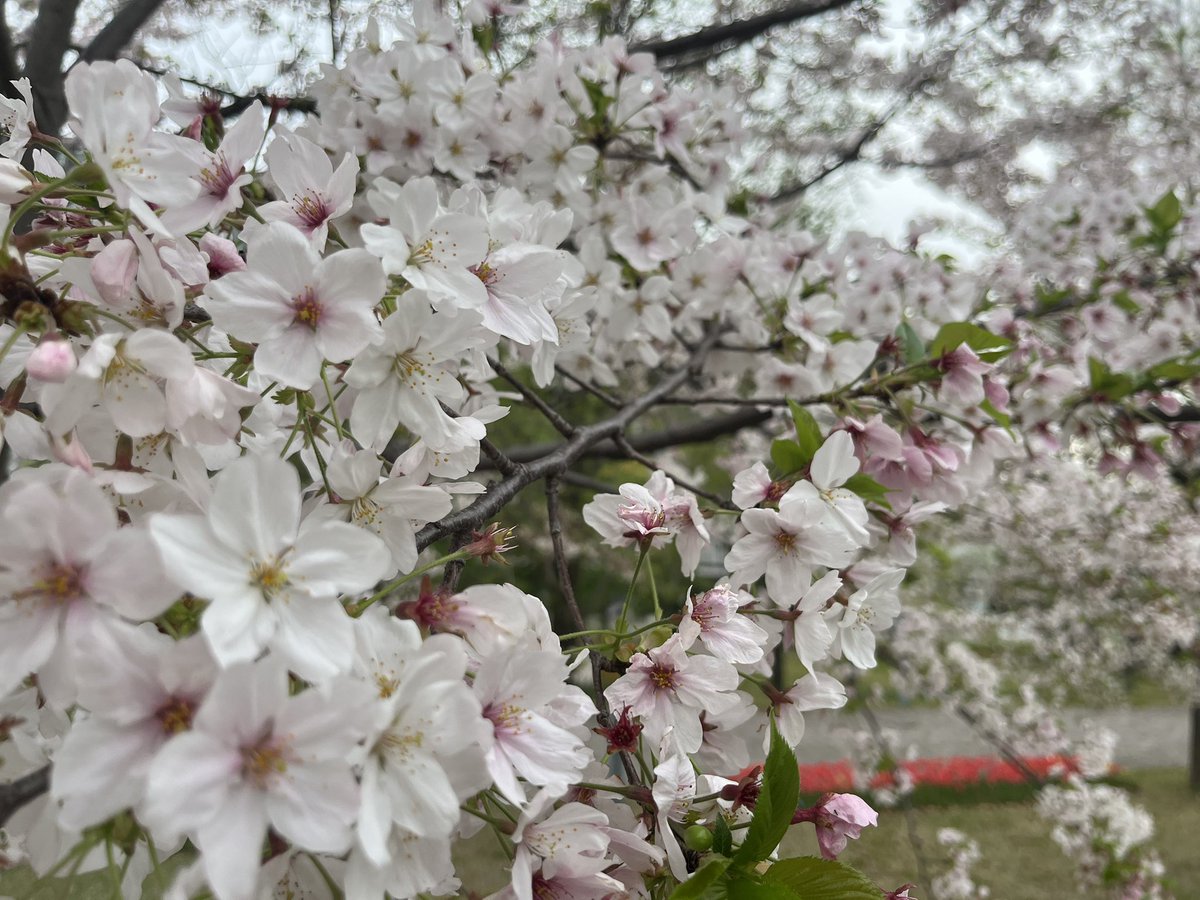 アタマお花畑

#科学未来館