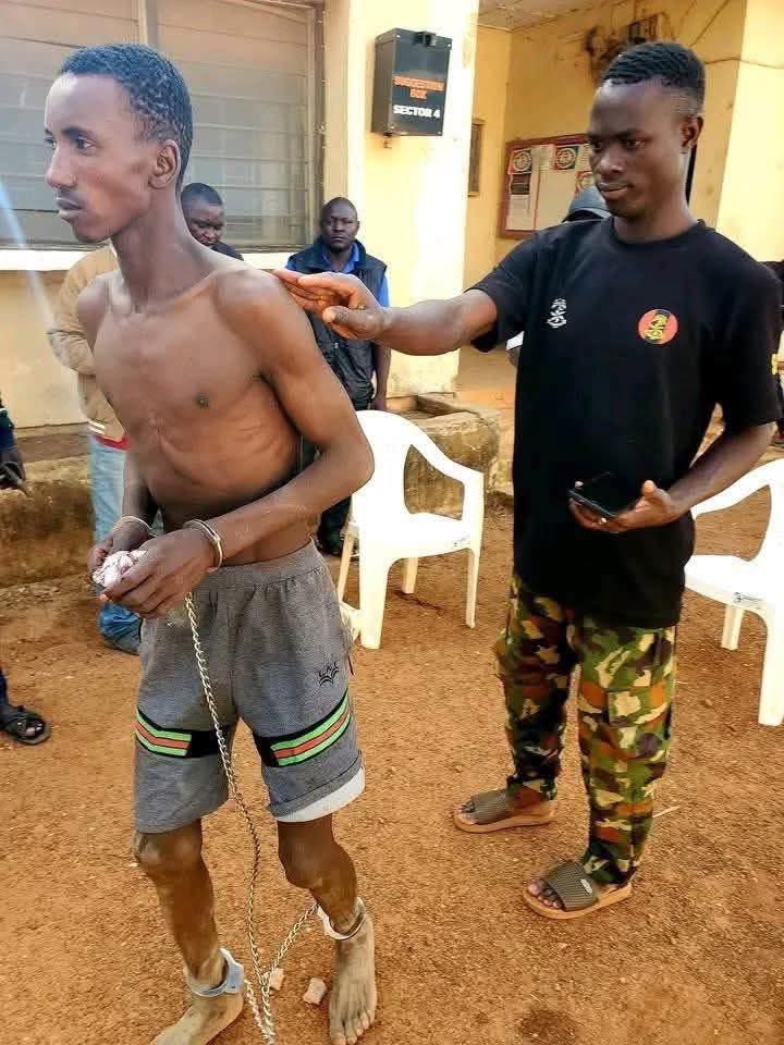 Plateau Asian girl🌟 tweet media