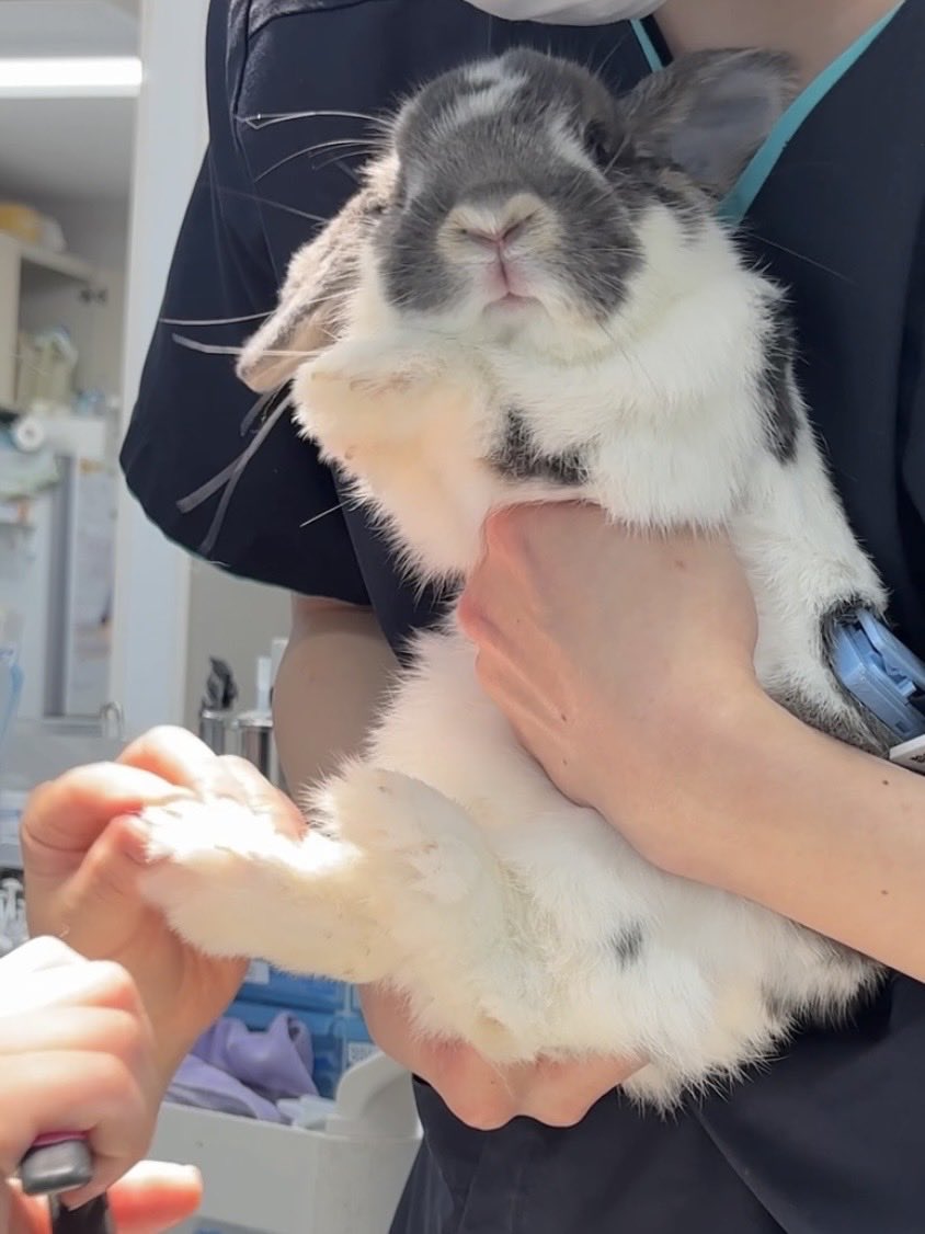 𝕙𝕚𝕟𝕒𝕥𝕒 tweet media