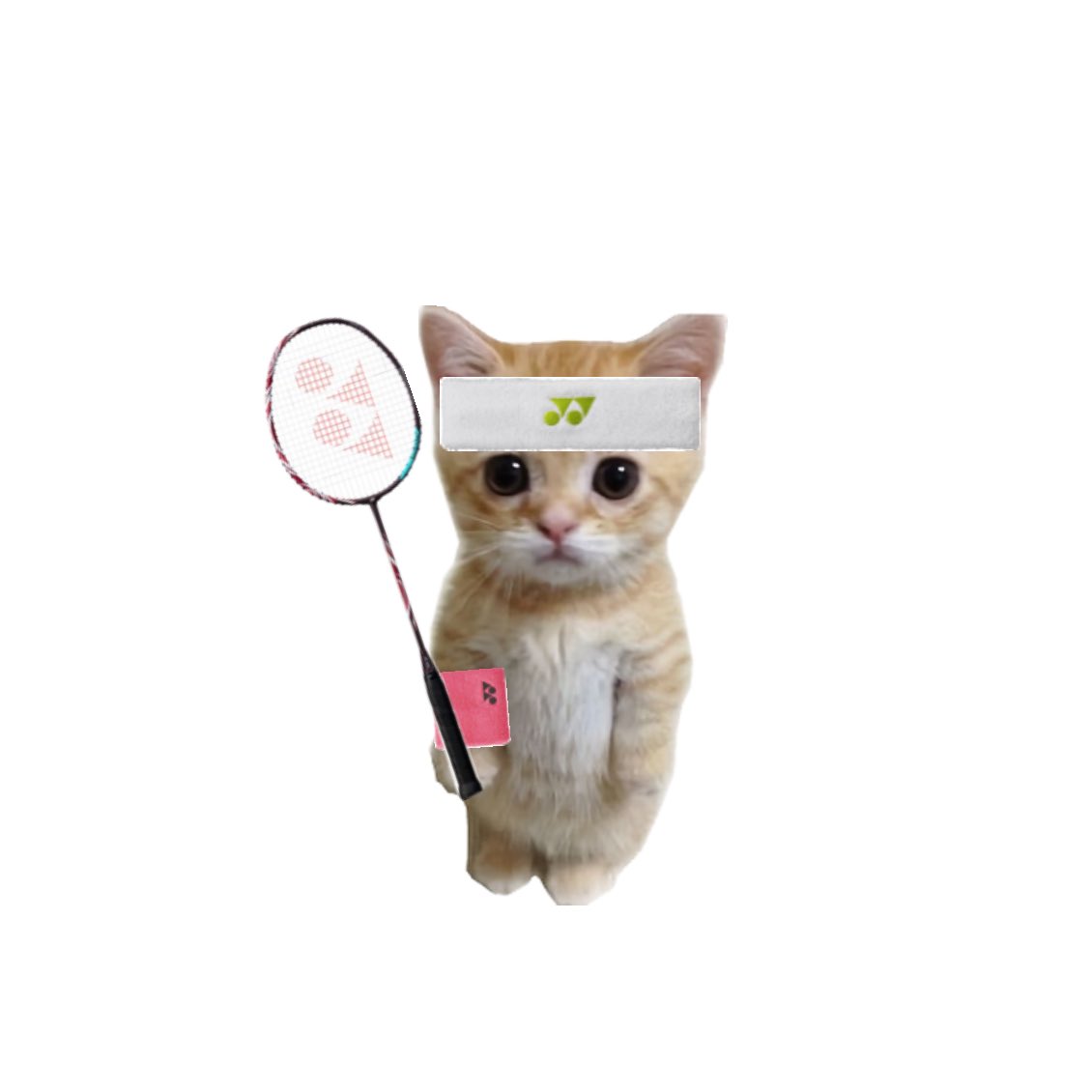 ยายเดือน News tweet media