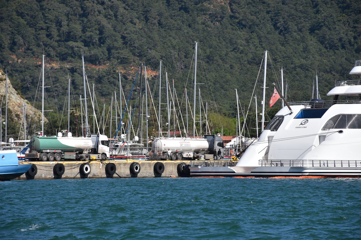 Sputnik Türkiye tweet media