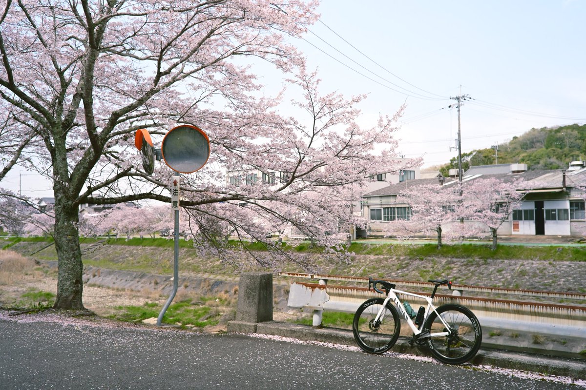 あぎさん@CANYON tweet media