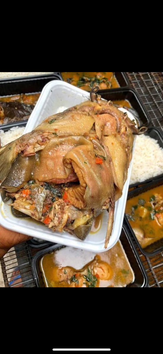 Benjamin 🧏🏽‍♂️ tweet media