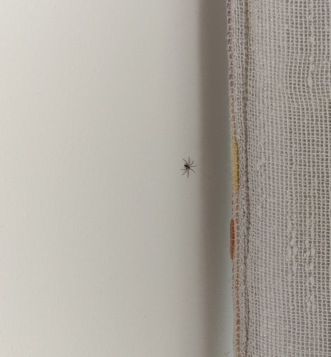 pat 🦈 tweet media