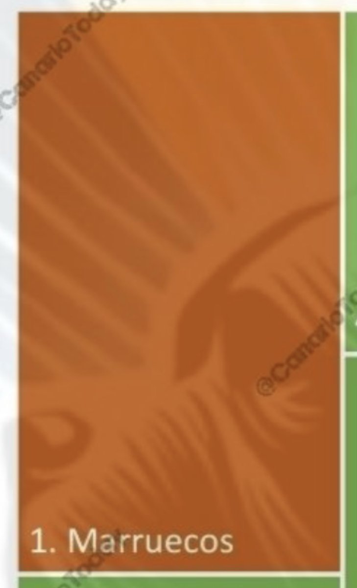 Cerveantes 🇪🇸 tweet media