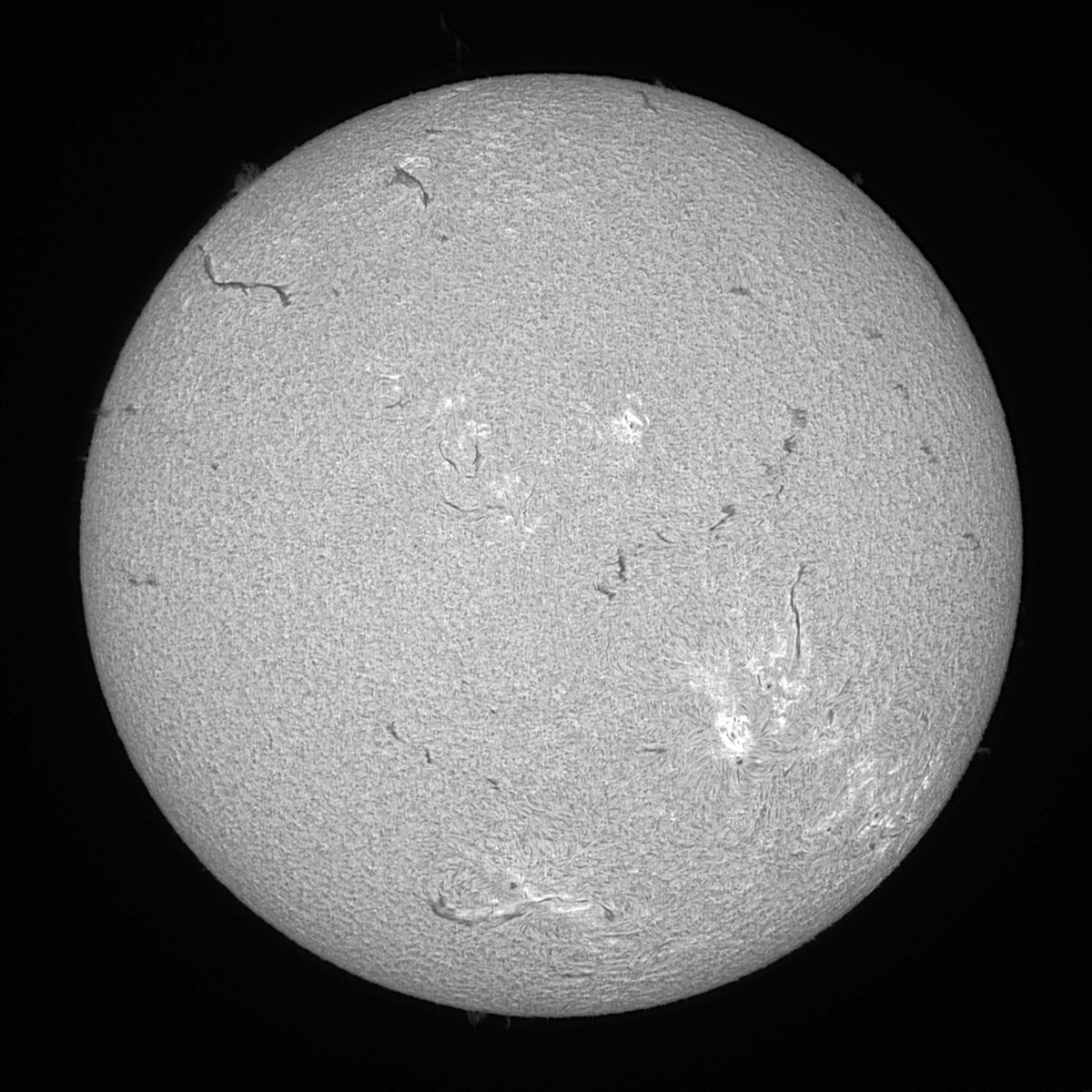 RikenTenmon's tweet image. #Sun Hα, Apr 06, 2026 12:51 (JST)

🔭Phoenix, Neptune-M, Live-stacked for 20sec

#太陽