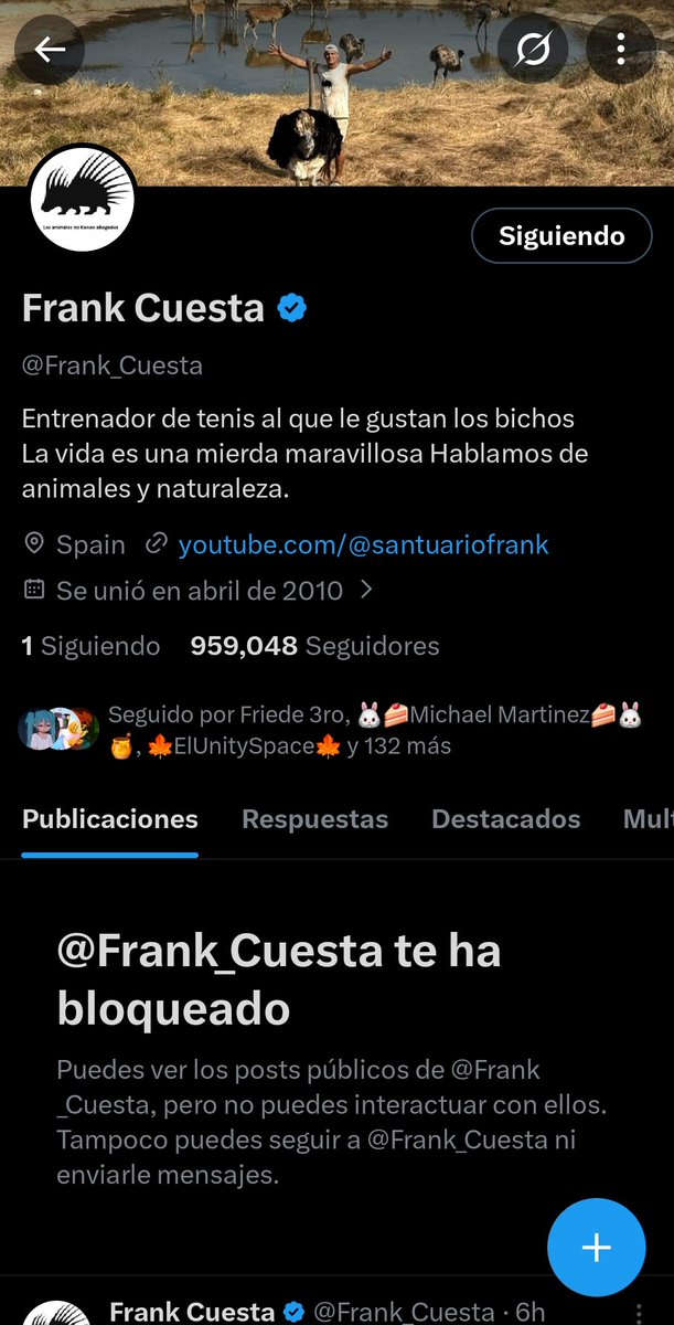 WhaleWerta 3.0 🐳 tweet media