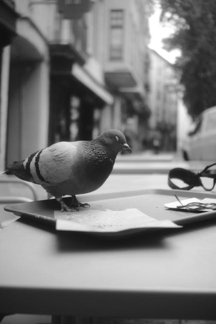 Francesca Wackerbarth tweet media