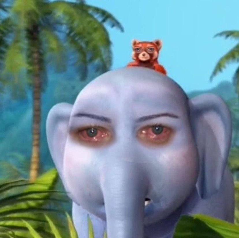 norsoryorlor tweet media