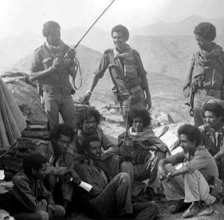 Samson Haile tweet media