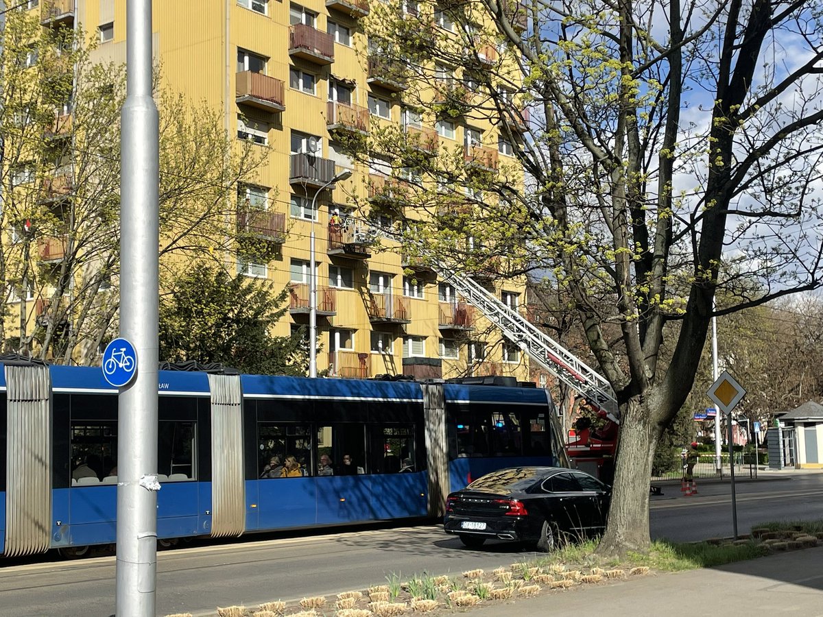 SparagmosSys, Indefatigable ⚧ tweet media