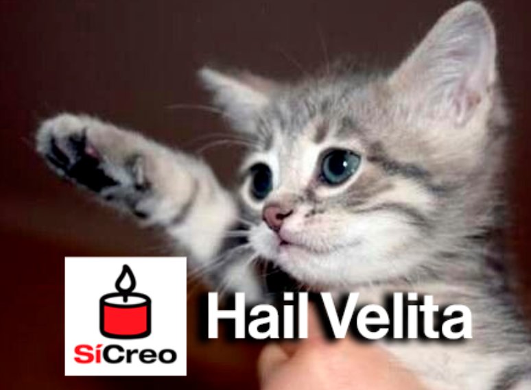 Mosukuwa 🍀🕯 tweet media