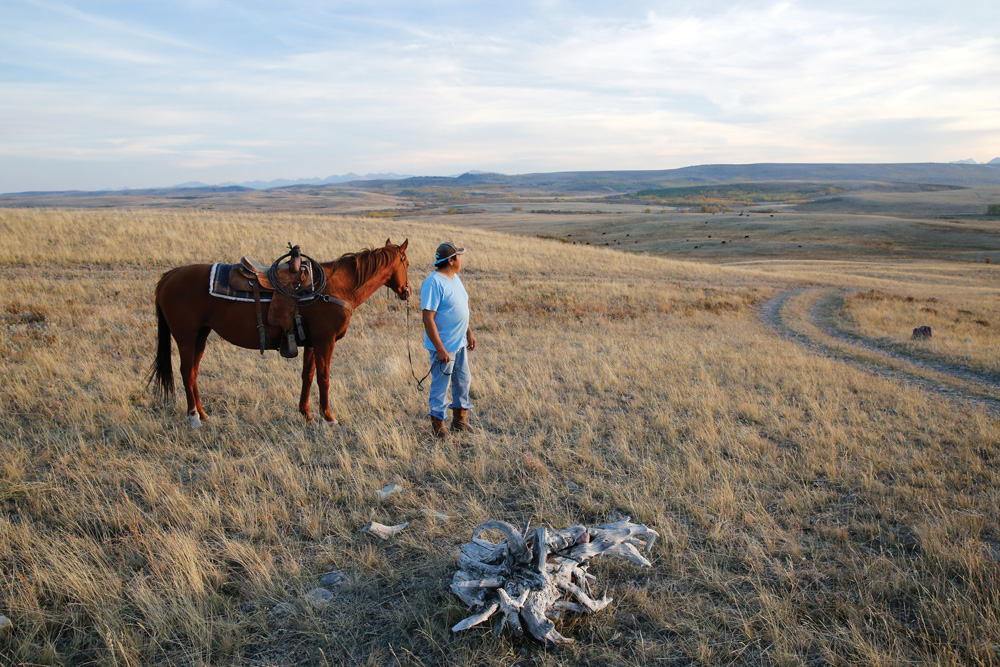 FactPost tweet media