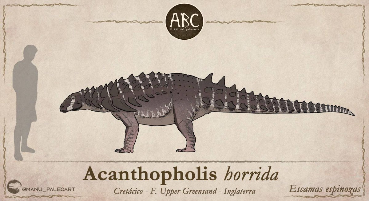 MDinoart's tweet photo. Diseños de:

🟤Acanthopholis horrida 
🟣Achelousaurus horneri 

Ambos se unen a la gran lista de la letra A

Procesos en mi canal de YouTube: https://t.co/sWUpz03CSc https://t.co/oniUYEI8oc