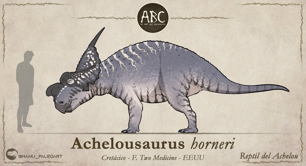 MDinoart's tweet photo. Diseños de:

🟤Acanthopholis horrida 
🟣Achelousaurus horneri 

Ambos se unen a la gran lista de la letra A

Procesos en mi canal de YouTube: https://t.co/sWUpz03CSc https://t.co/oniUYEI8oc