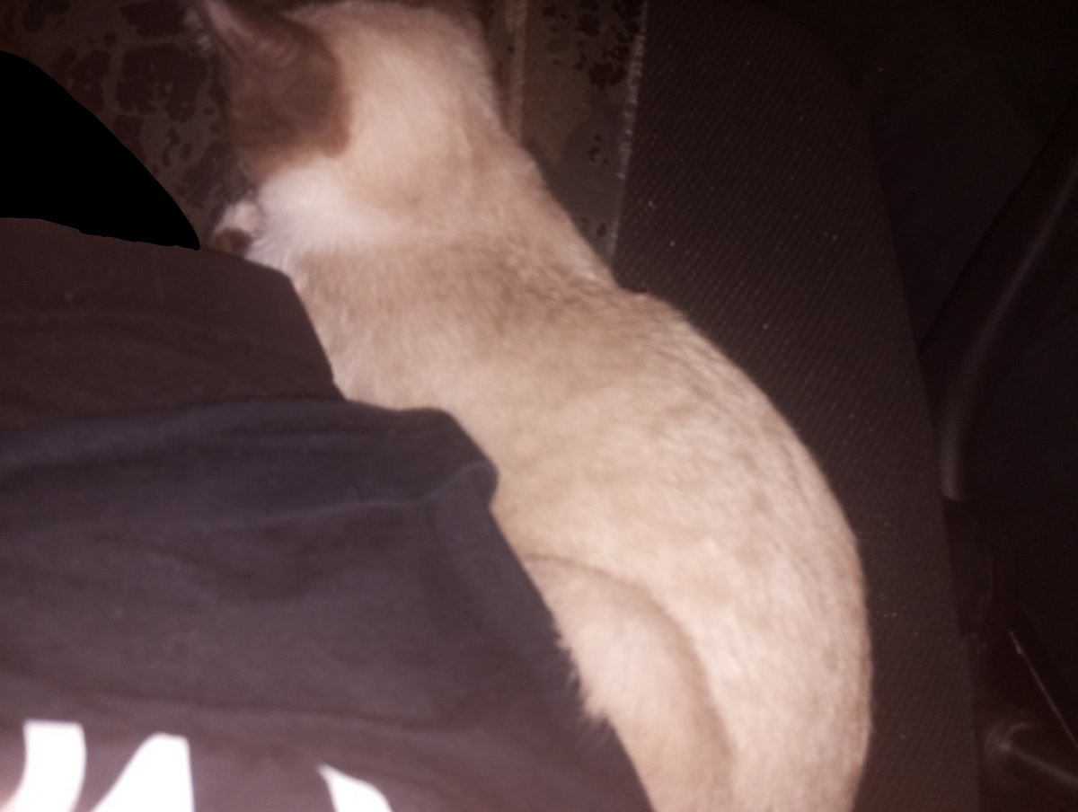 qhat did i FUCKING SAY