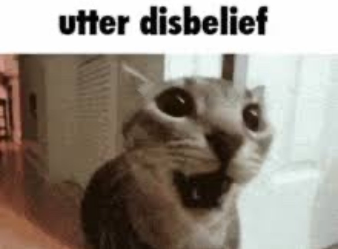 TIPLES👞 tweet media