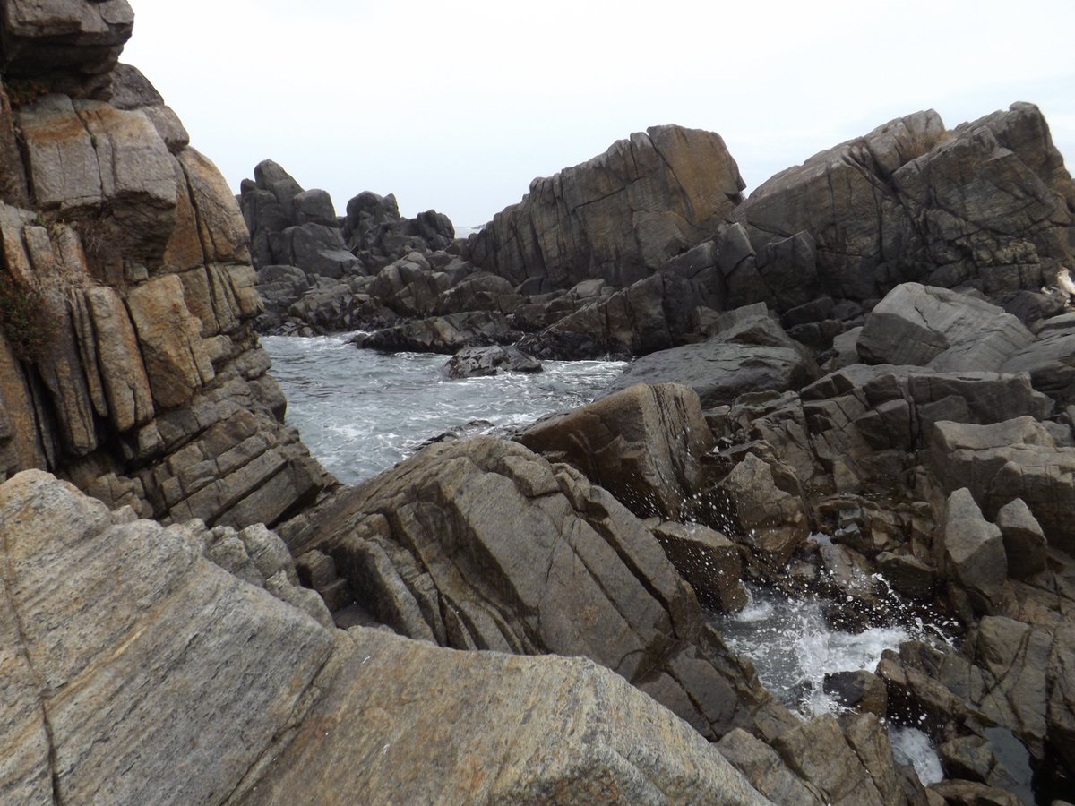 はらだくせぇ　やろだごだ tweet media