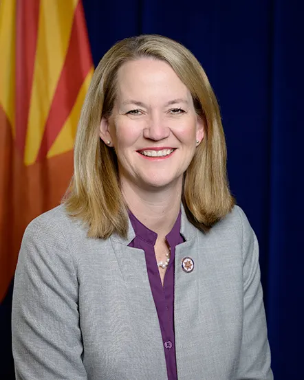 AZ Democrats LD14 tweet media