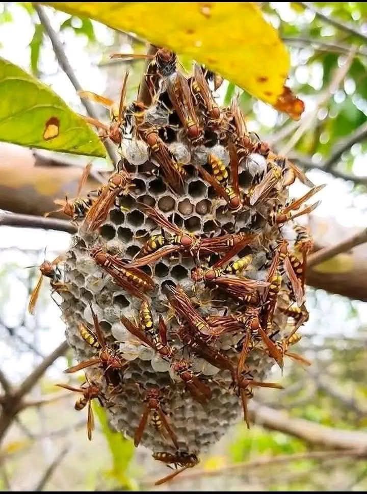 Two S UG🇺🇬 tweet media