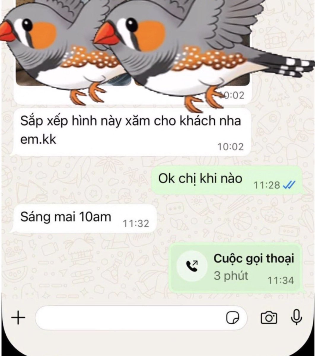 QMThảo tweet media