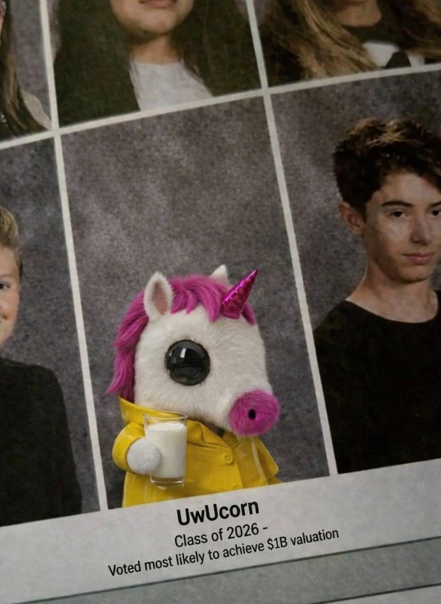 Unicorn 🦄 tweet media