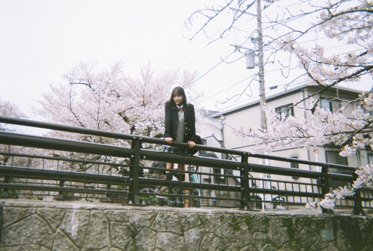 75shox's tweet photo. 写ルンです https://t.co/xIJge4OILf