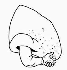 Grumpy Cat Parody tweet media