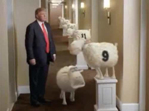 Mocking Bird tweet media