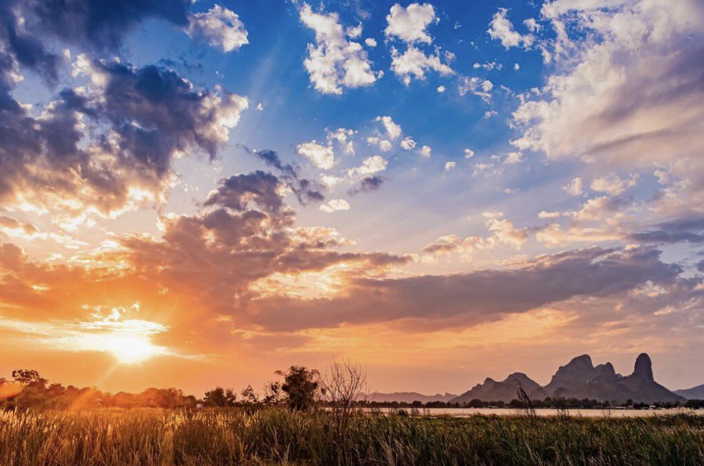 andiv🧚♂️ tweet media