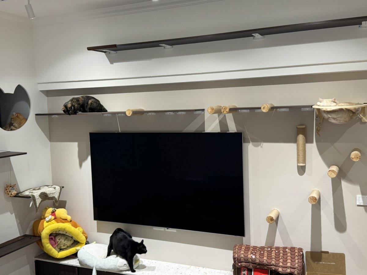 💭安瑪希雅の法法🇫🇷 tweet media