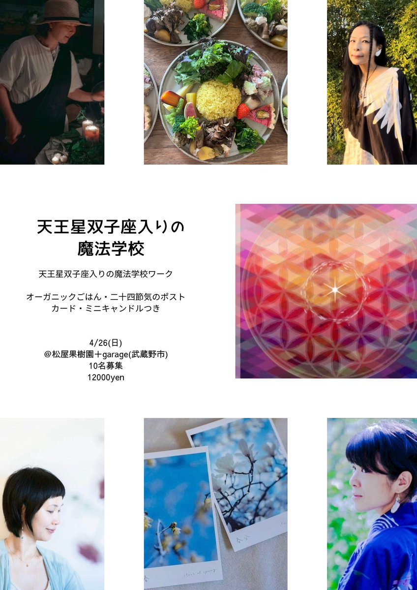 rainbowbird.T.V tweet media