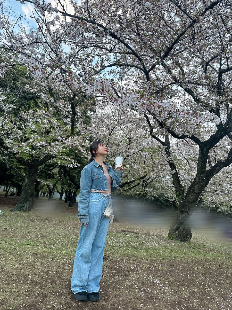 森岳亜弥（SeedS）🌱 tweet media