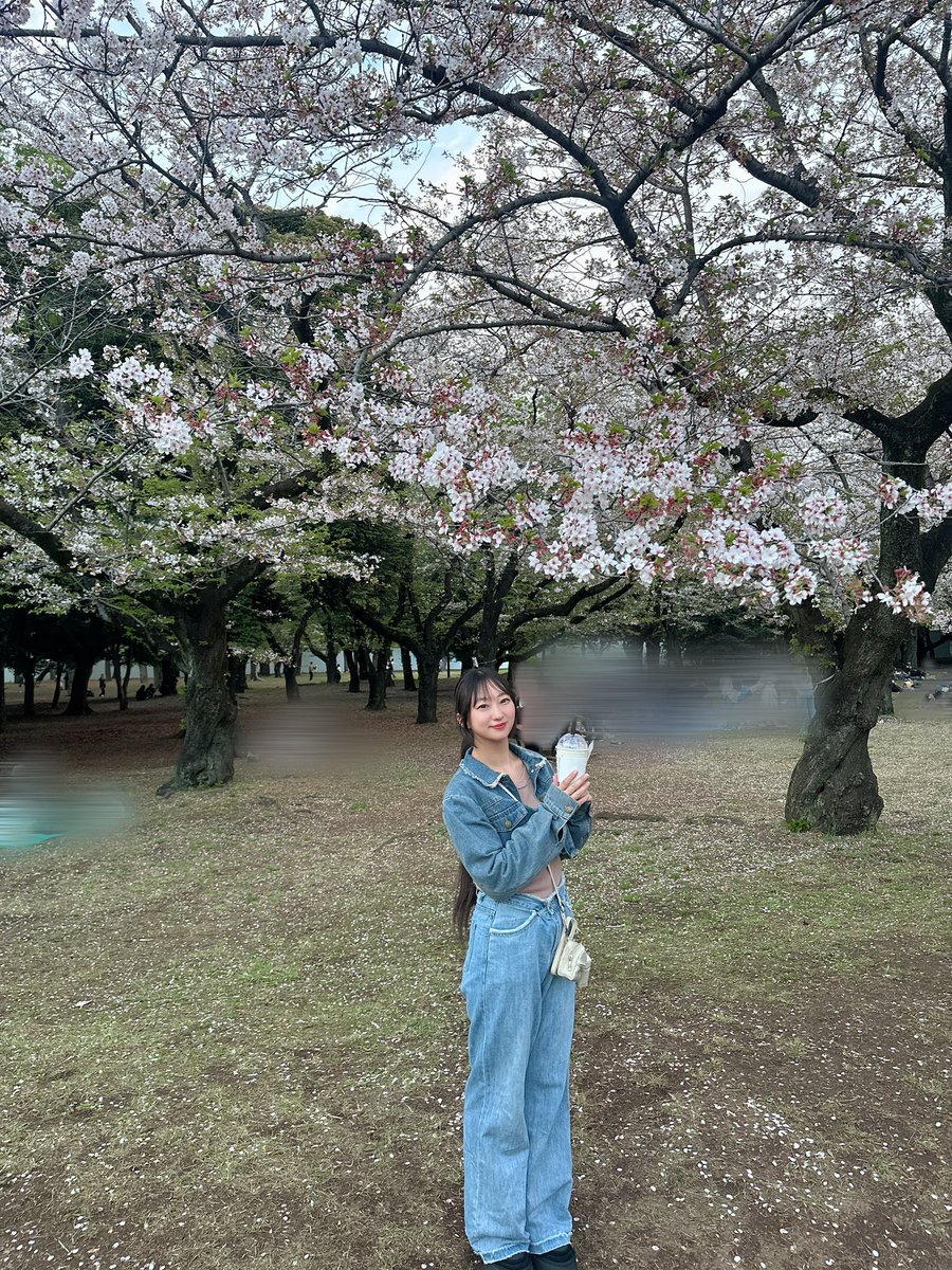 森岳亜弥（SeedS）🌱 tweet media