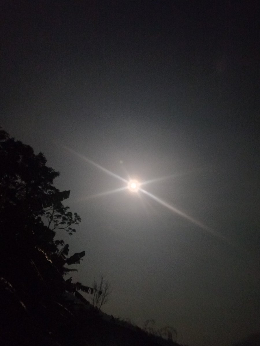 Susmita (@susmita68000120) on Twitter photo 