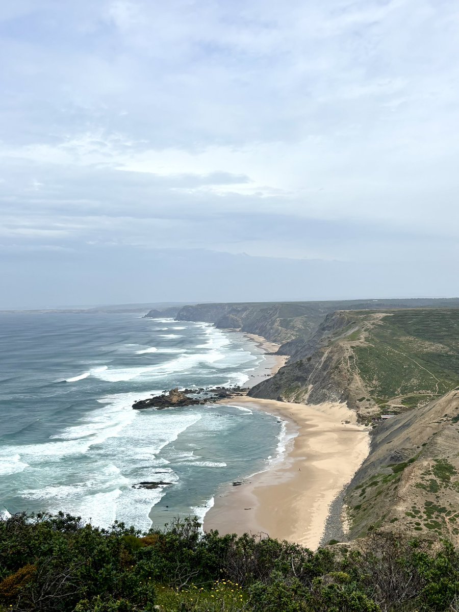 dangermouse tweet media