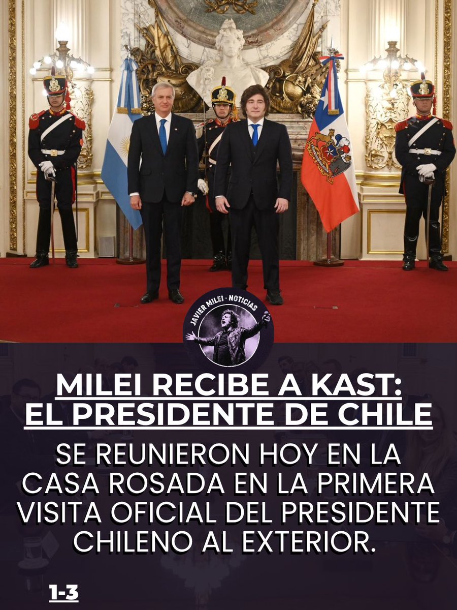 JavierMileiNoticias tweet media