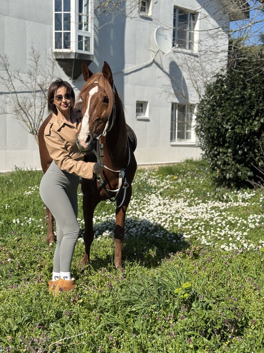 Ece Ünsal tweet media