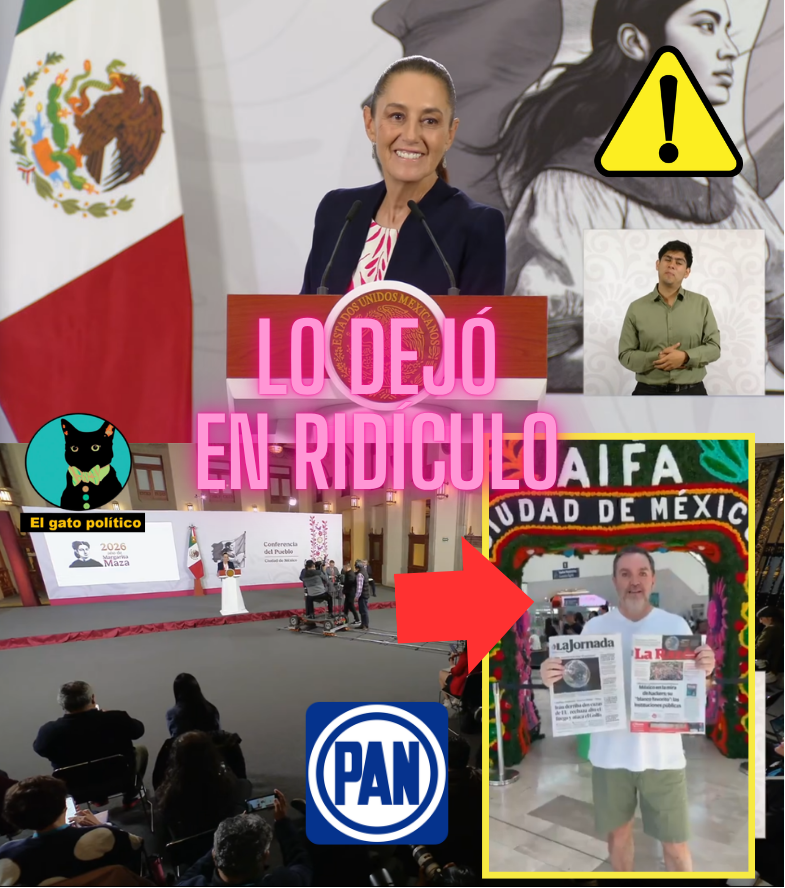 El gato político tweet media