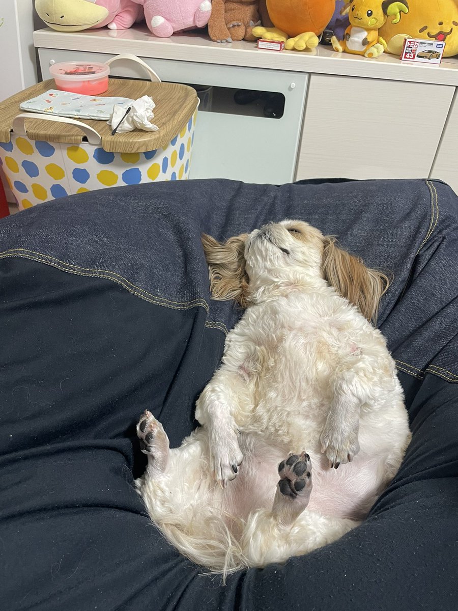 たらこちゃん tweet media