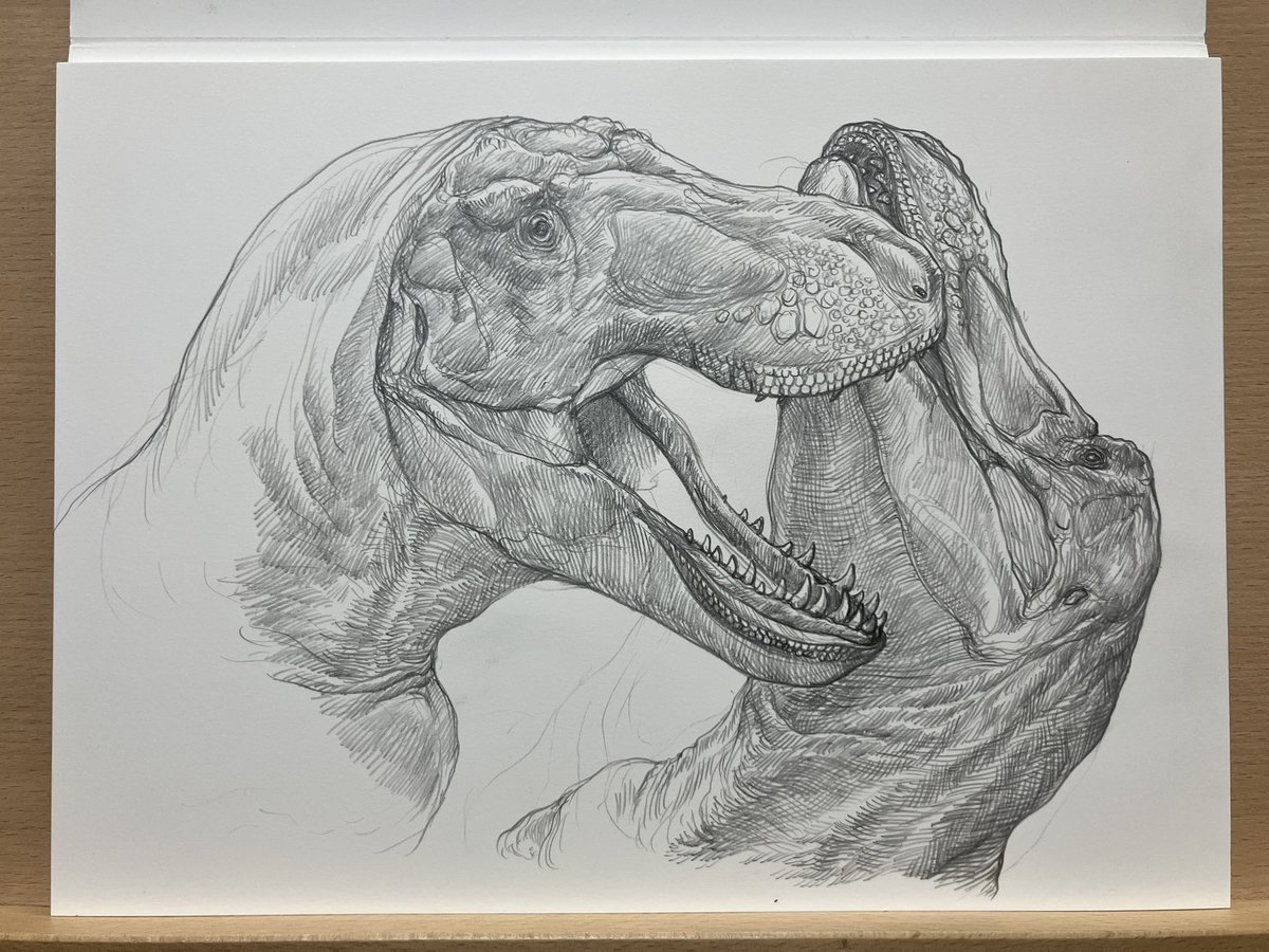 小田　隆　Oda Takashi tweet media