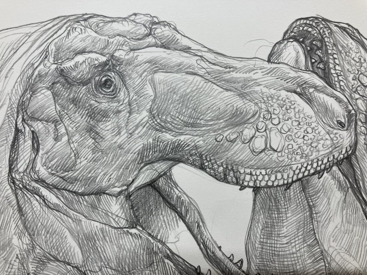 小田　隆　Oda Takashi tweet media