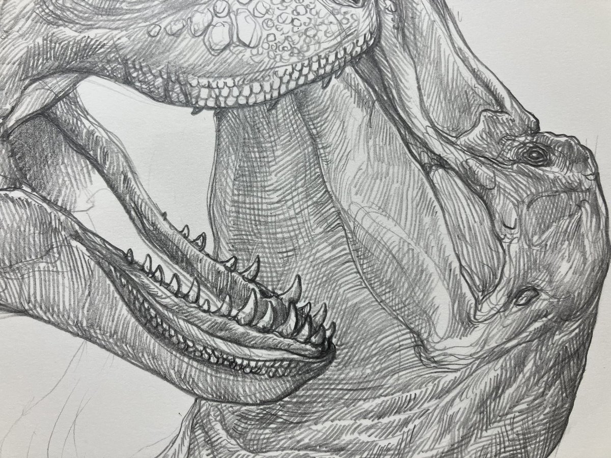 小田　隆　Oda Takashi tweet media