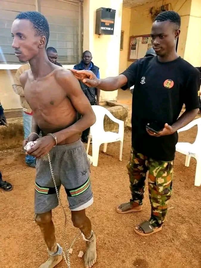 One of the att@ckers in Heipang District in Plateau State that was arrested last night in an att@ck that claimed 2 lives.
Look how dried the b@stard looks🤦‍♂️