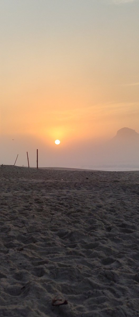 oɔɹɐɯ southern surf tweet media