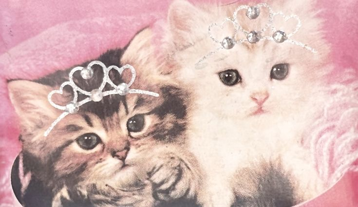 olive ˖ ݁♬⋆.˚ tweet media