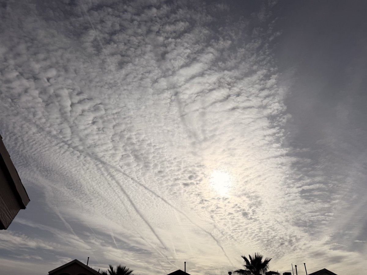 Anthony Aguero Live 🇺🇸 tweet media